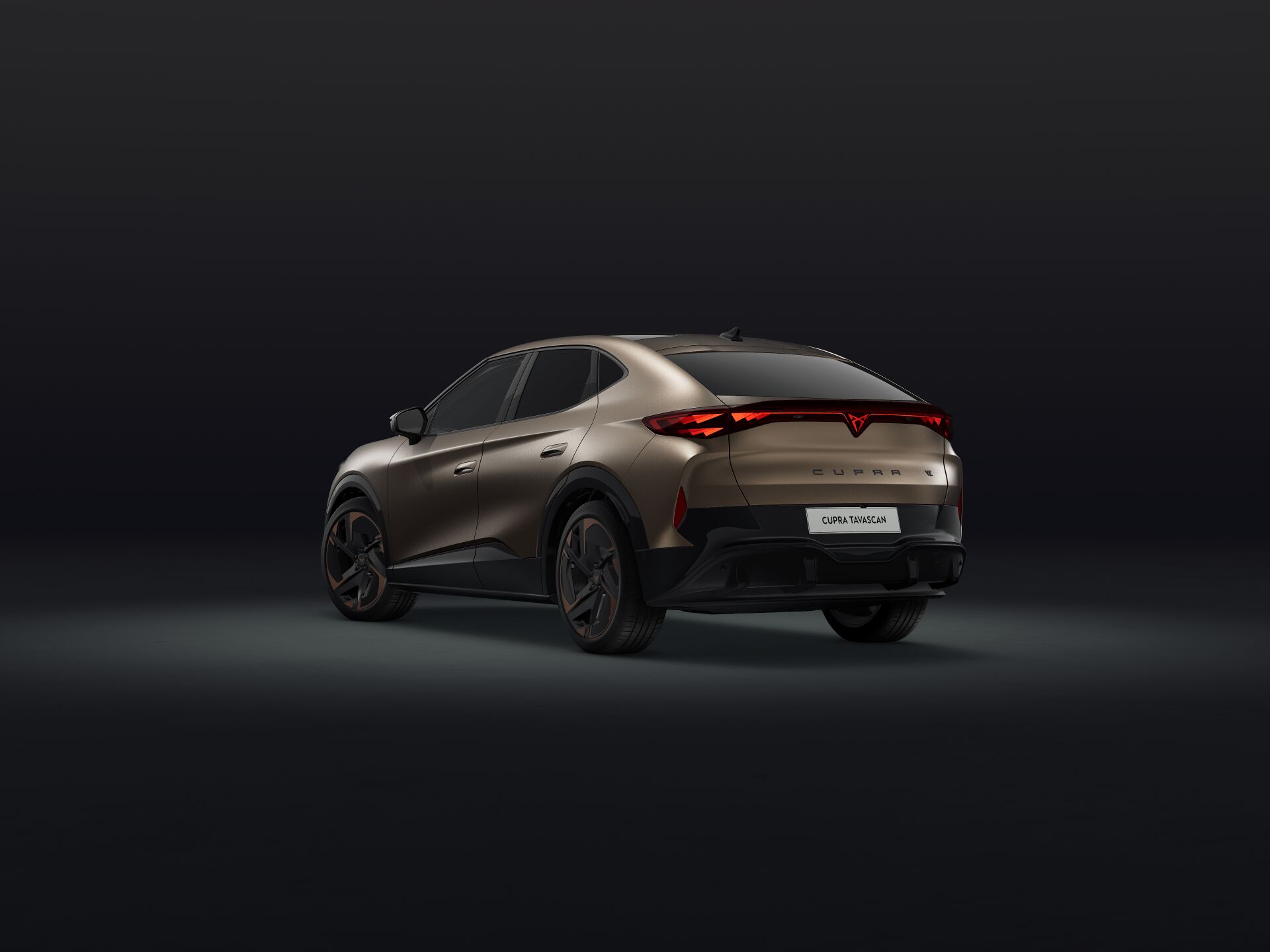 Bild eines Tavascan VZ Extreme 4Drive 250kW/340PS