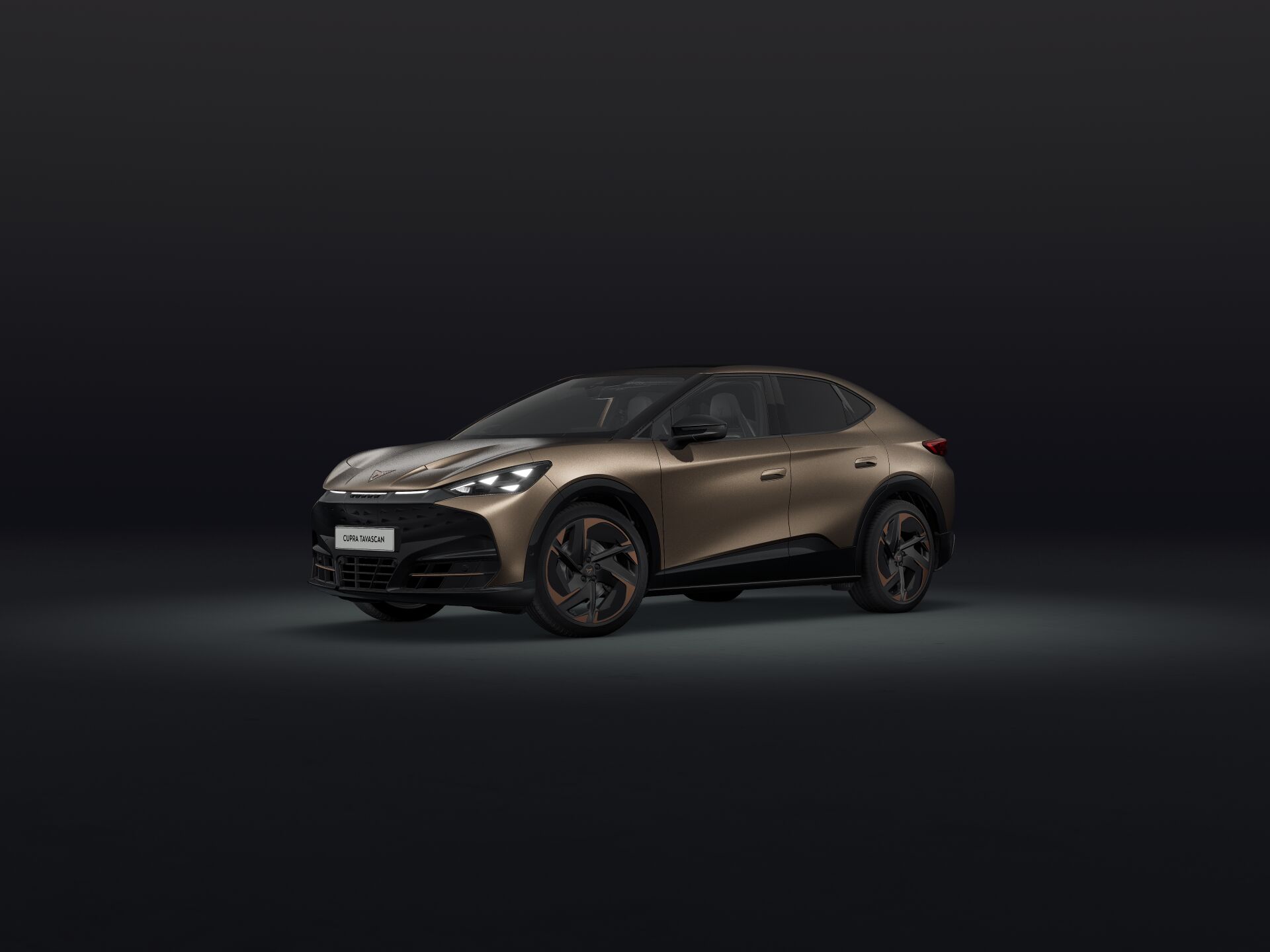 Bild eines Tavascan VZ Extreme 4Drive 250kW/340PS