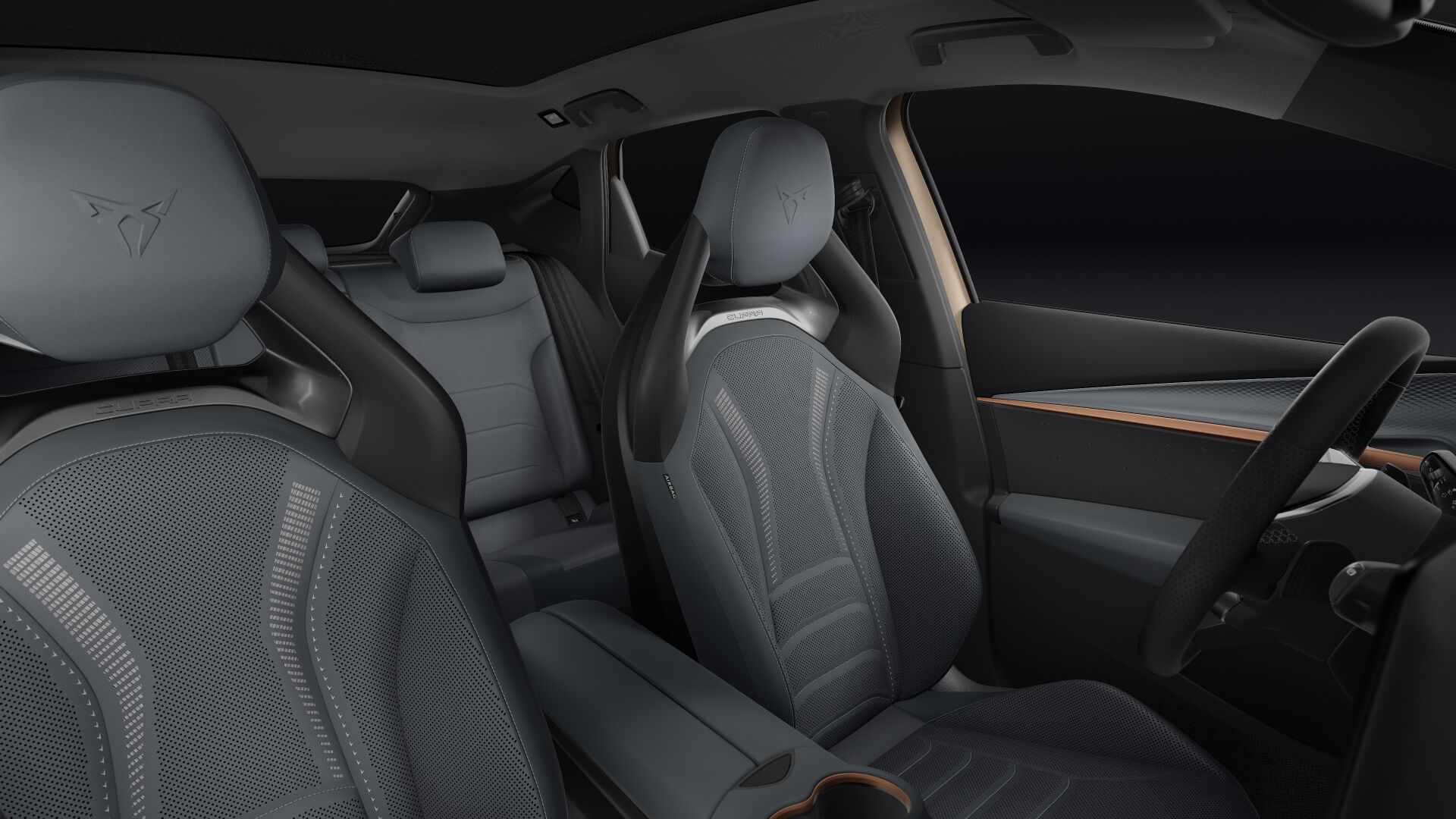 Bild eines Tavascan VZ Extreme 4Drive 250kW/340PS