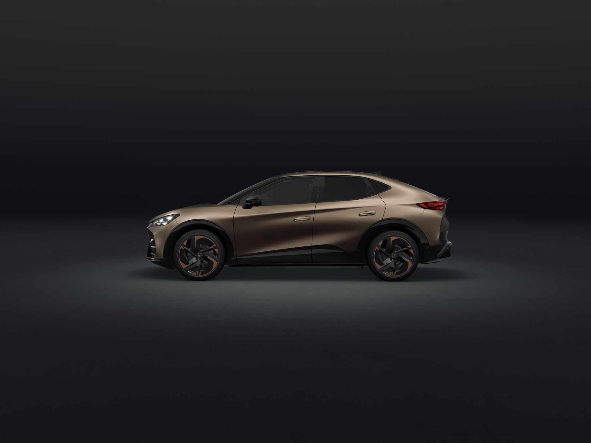 Bild eines Tavascan VZ Extreme 4Drive 250kW/340PS