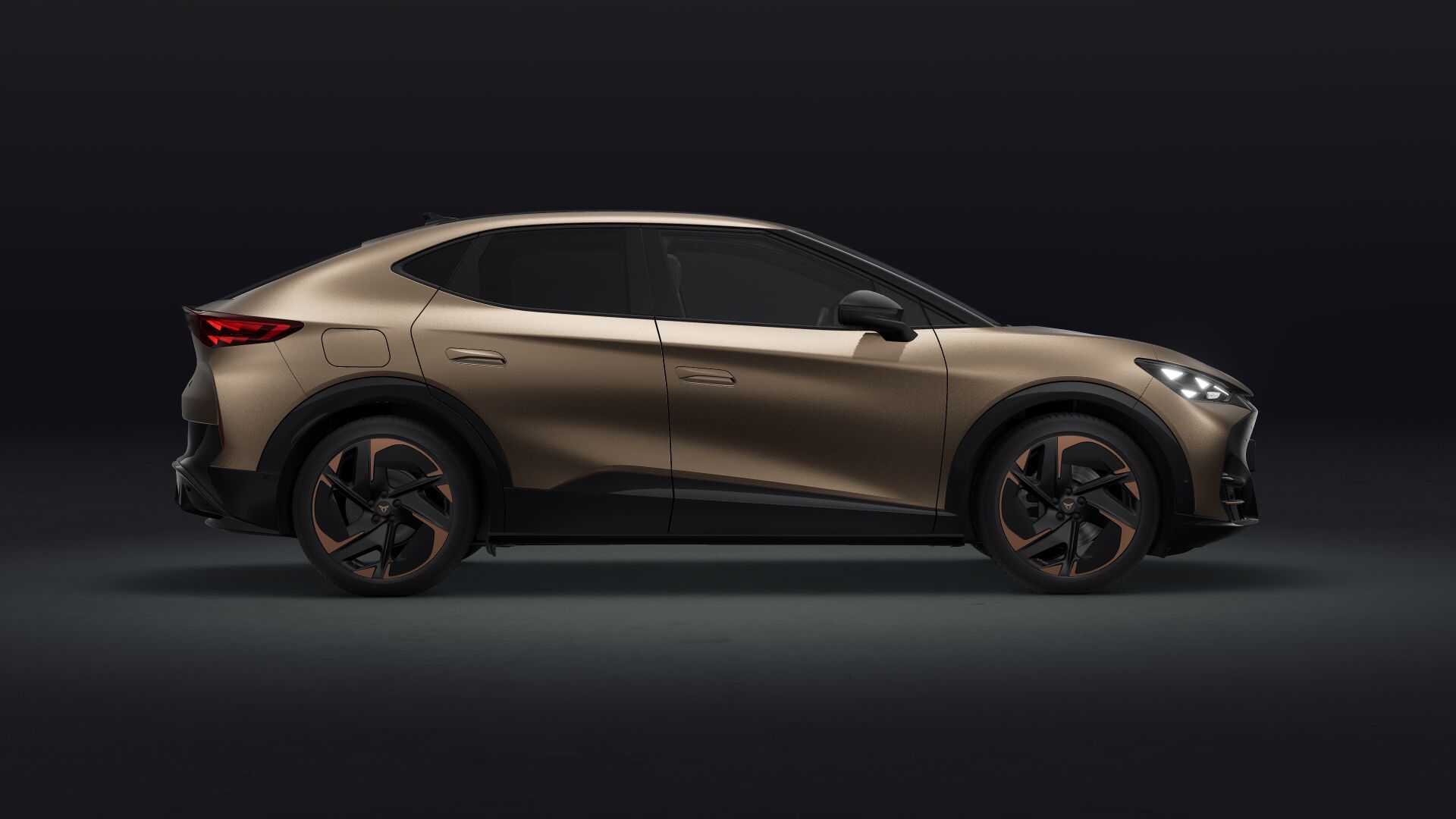 Bild eines Tavascan VZ Extreme 4Drive 250kW/340PS