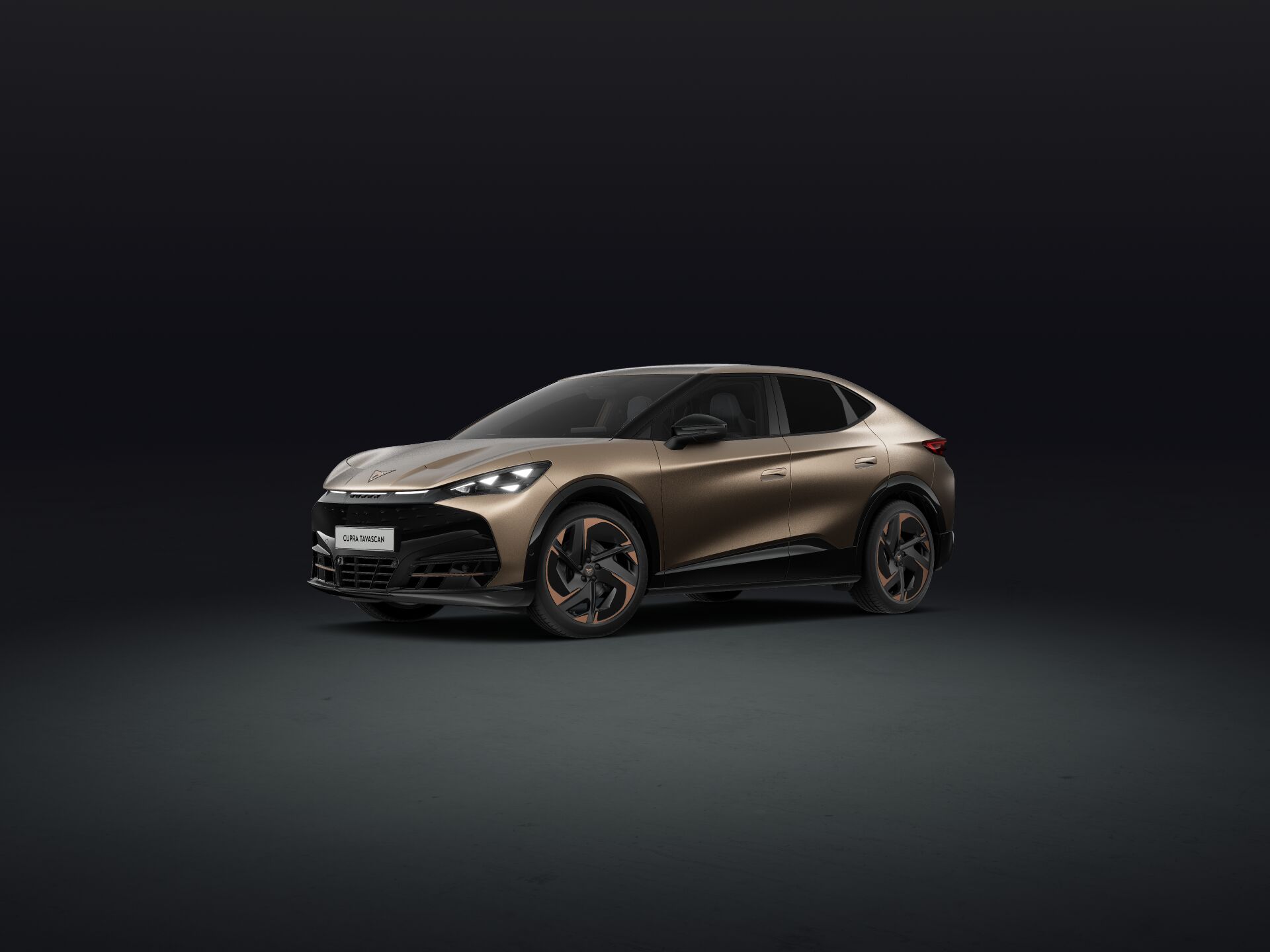 Bild eines Tavascan VZ Extreme 4Drive 250kW/340PS
