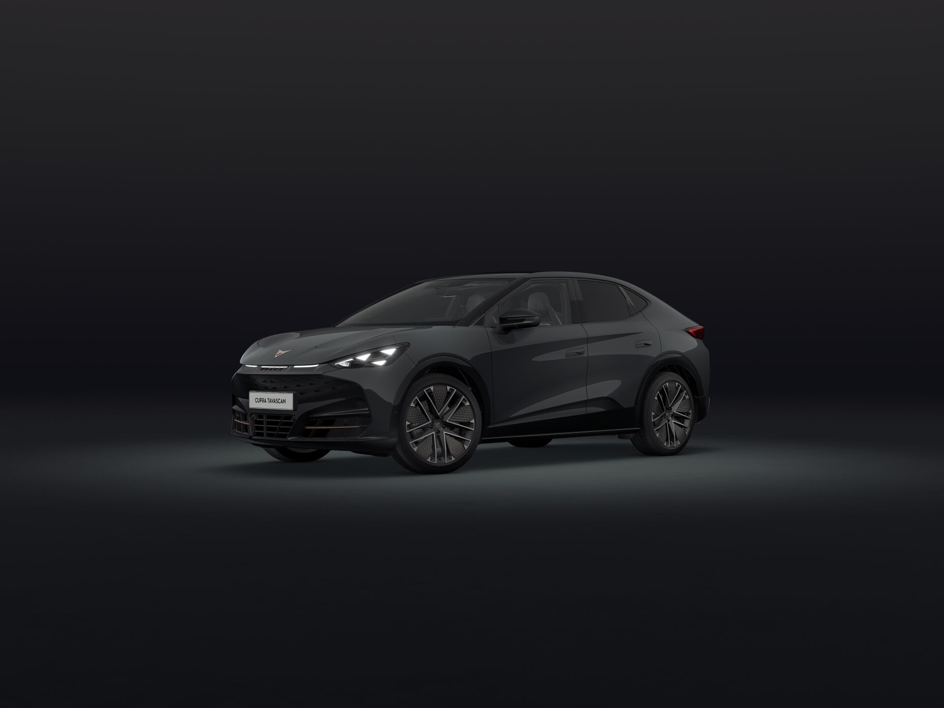Bild eines Tavascan Extreme 210kW/286PS