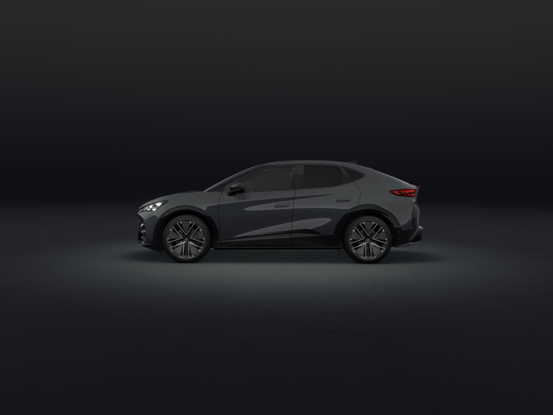 Bild eines Tavascan Extreme 210kW/286PS