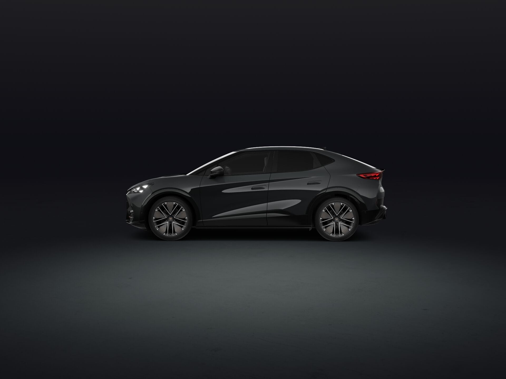 Bild eines Tavascan Extreme 210kW/286PS