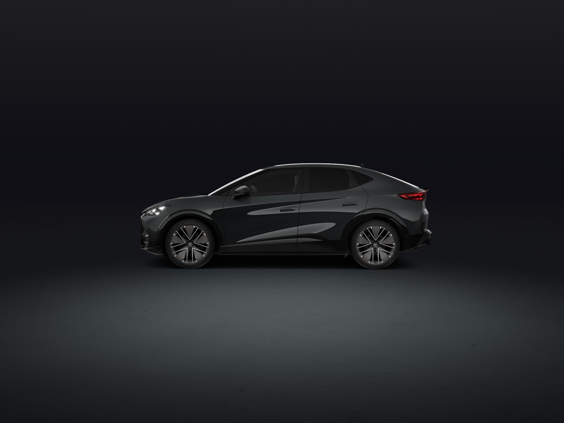 Bild eines Tavascan Extreme 210kW/286PS