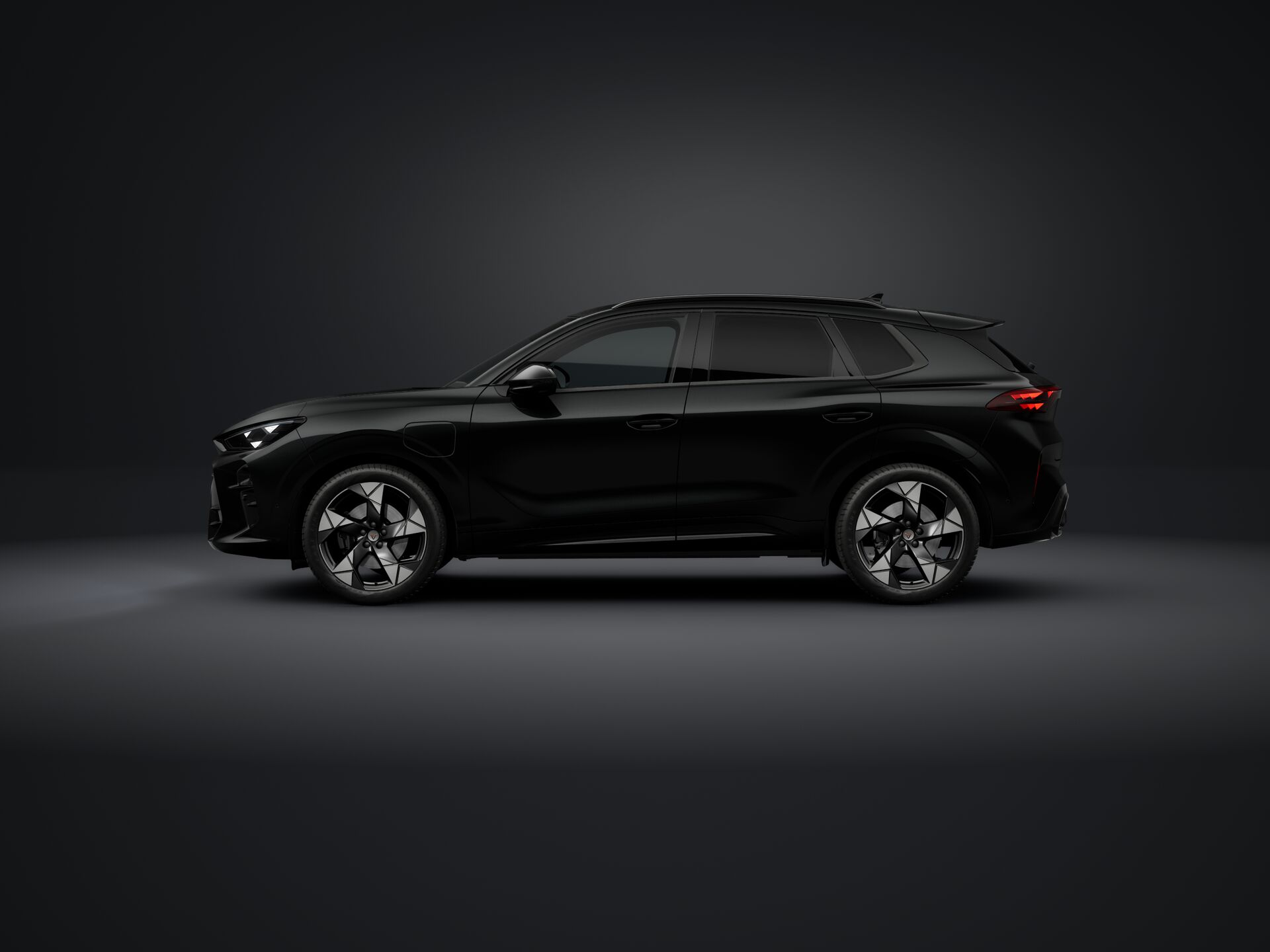 Bild eines Terramar e-HYBRID 204 PS DSG