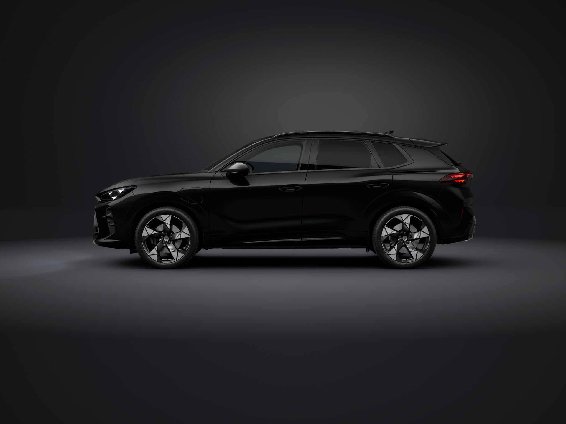 Bild eines Terramar e-HYBRID 204 PS DSG