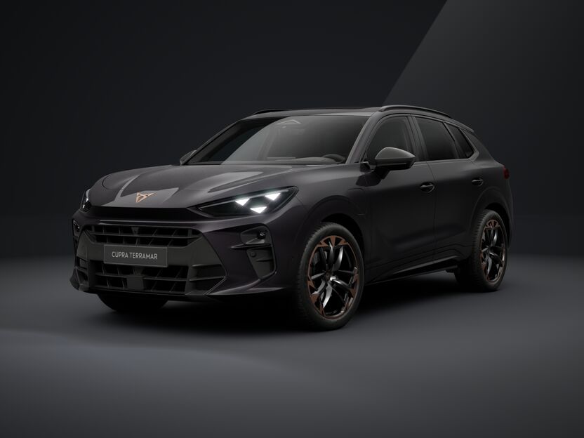 Bild eines Terramar VZ e-HYBRID 272 PS DSG