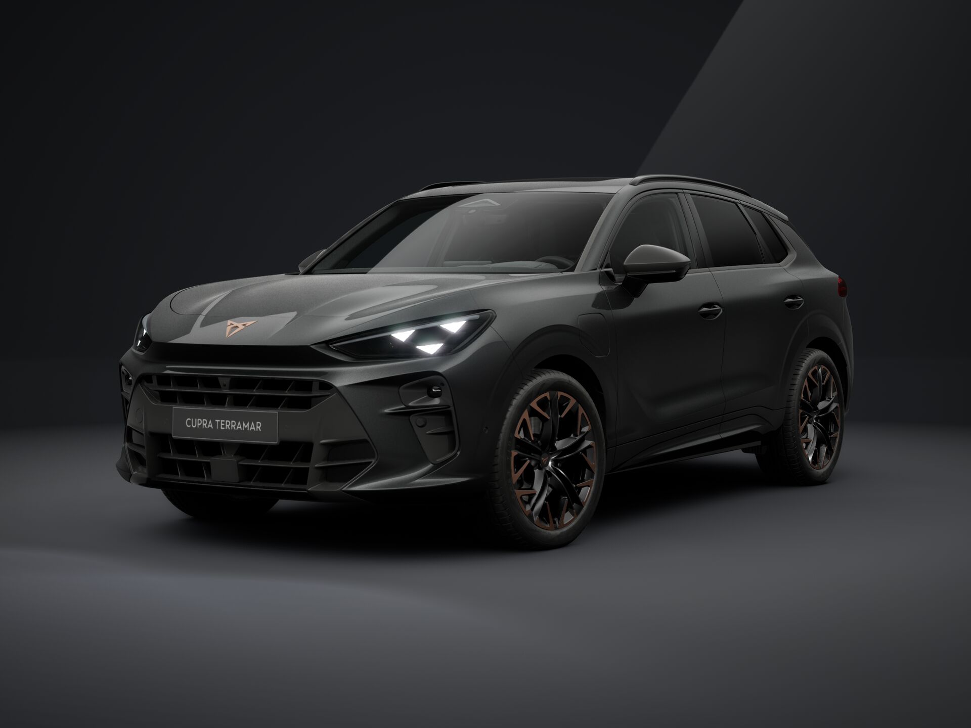 Bild eines Terramar VZ e-HYBRID 272 PS DSG