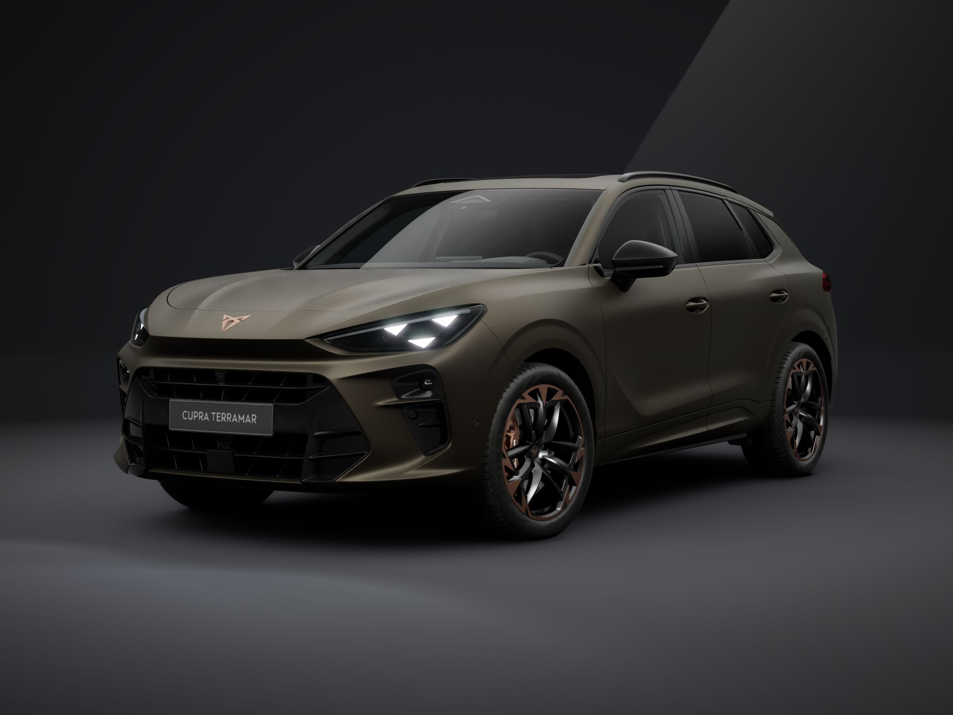 Bild eines Terramar VZ 2.0 TSI 265 PS DSG 4Drive