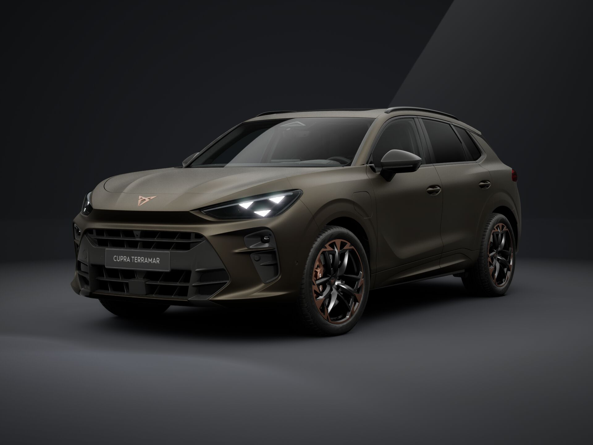 Bild eines Terramar VZ e-HYBRID 272 PS DSG