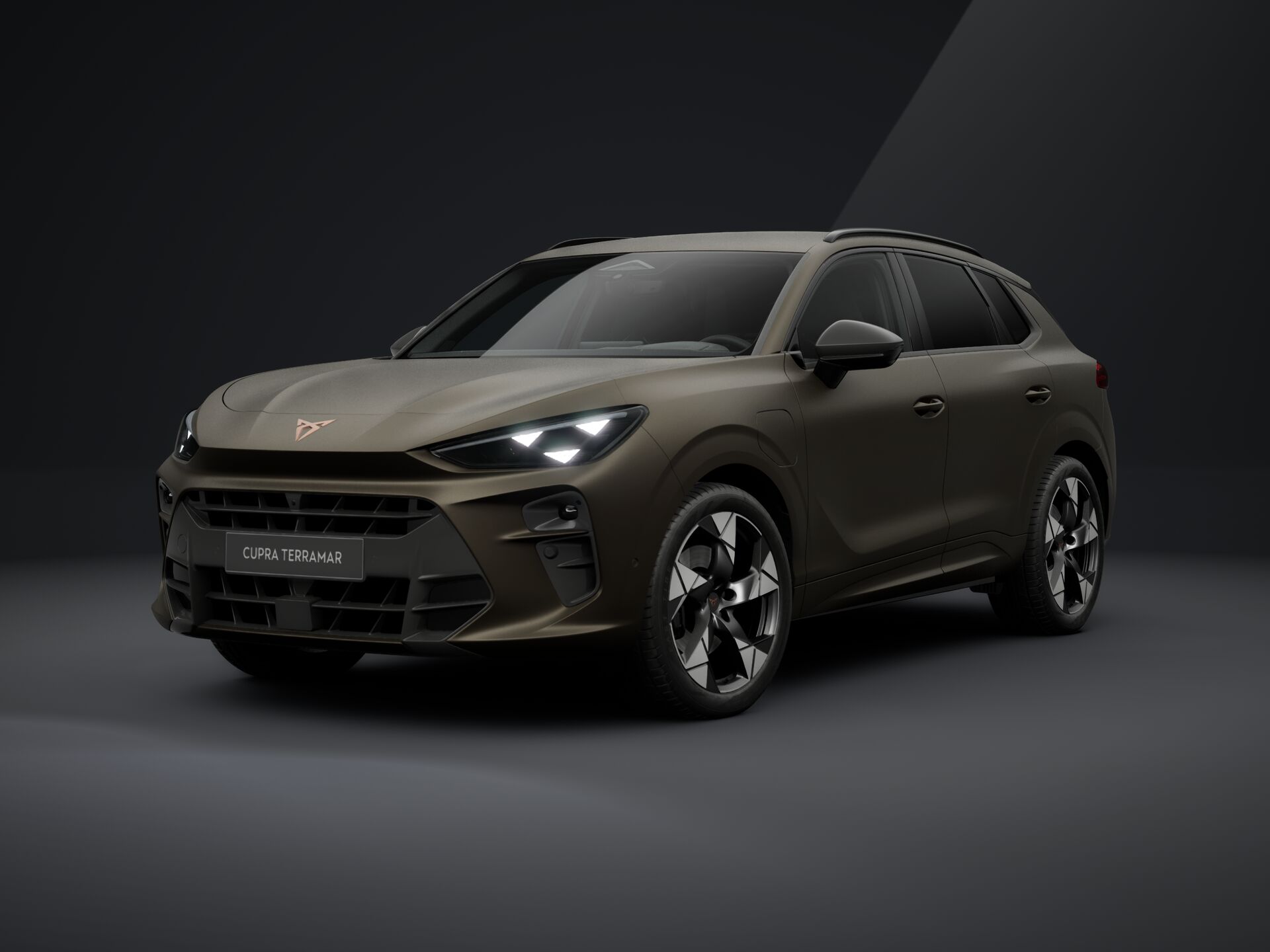 Bild eines Terramar VZ e-HYBRID 272 PS DSG