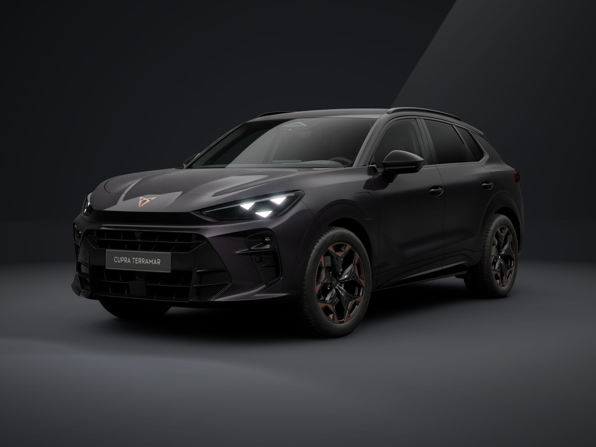 Bild eines Terramar e-HYBRID 204 PS DSG