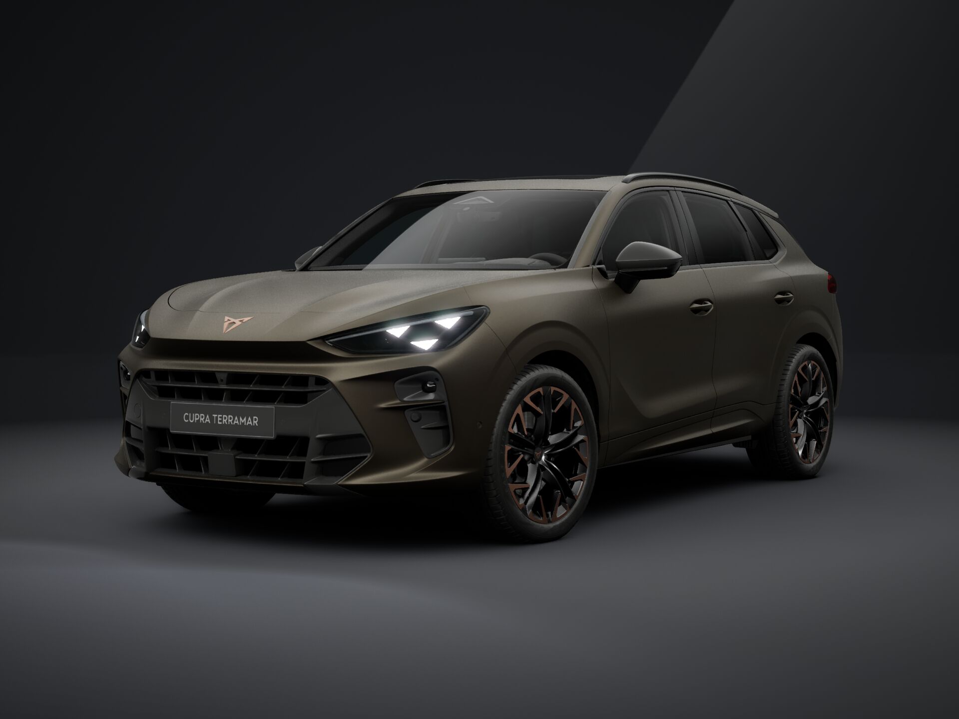Bild eines Terramar 2.0 TSI 204 PS DSG 4Drive