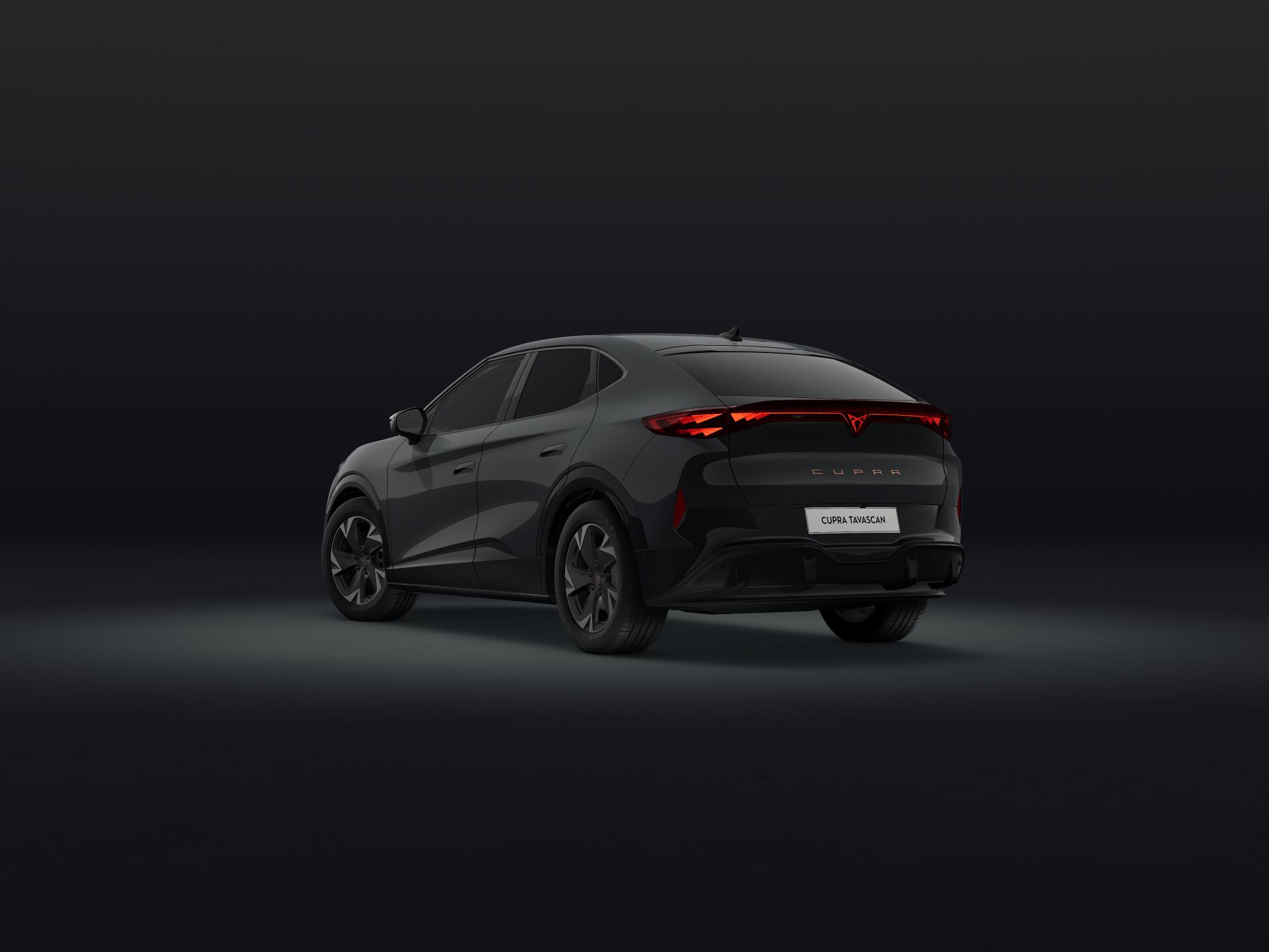 Bild eines Tavascan 210kW/286PS