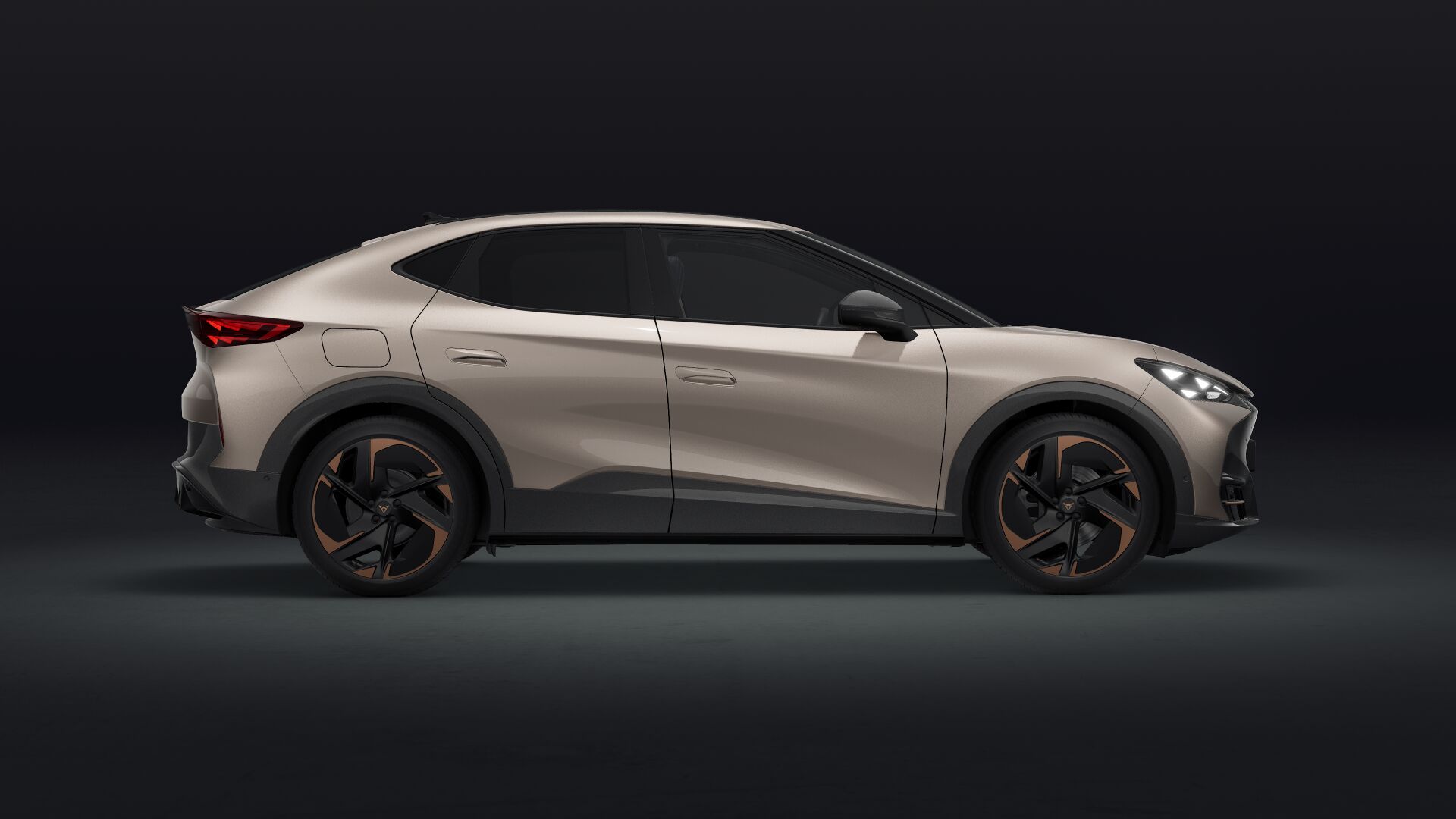 Bild eines Tavascan Adrenaline 210kW/286PS