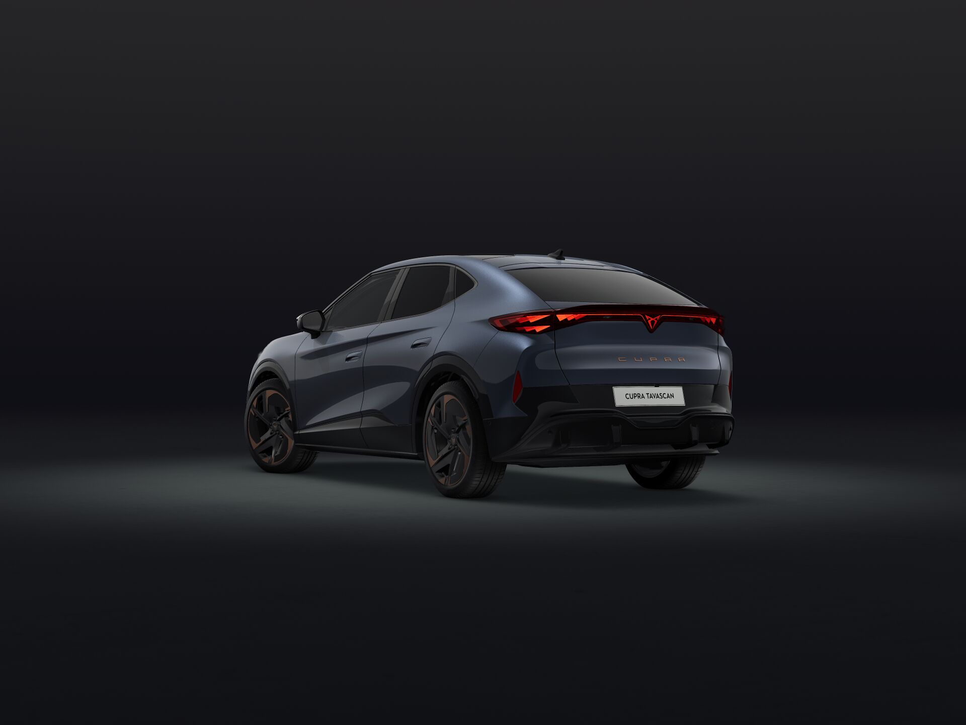 Bild eines Tavascan Extreme 210kW/286PS