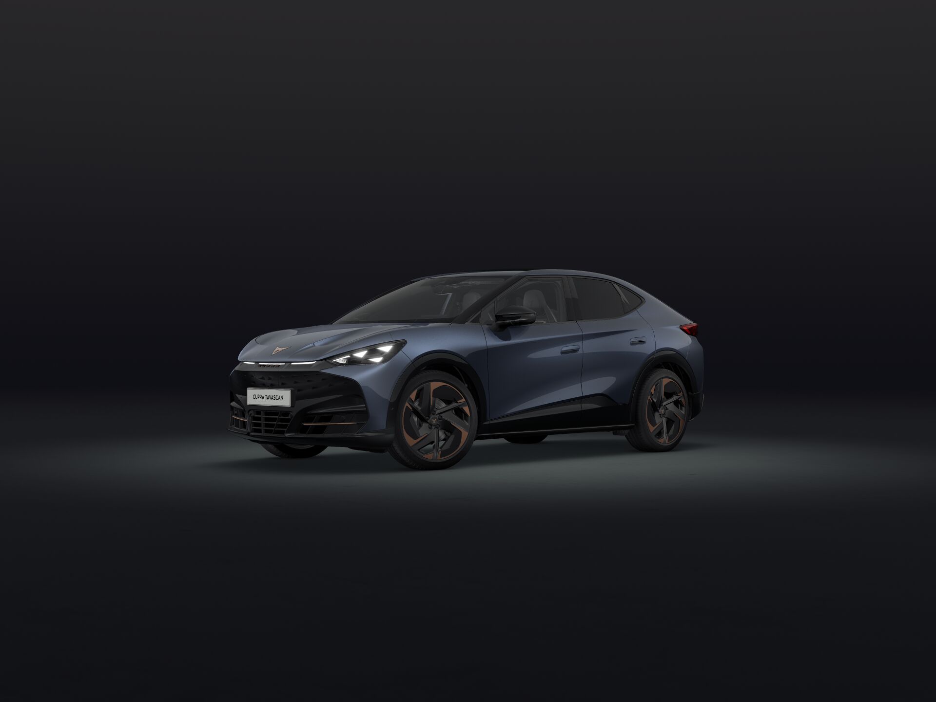 Bild eines Tavascan Extreme 210kW/286PS