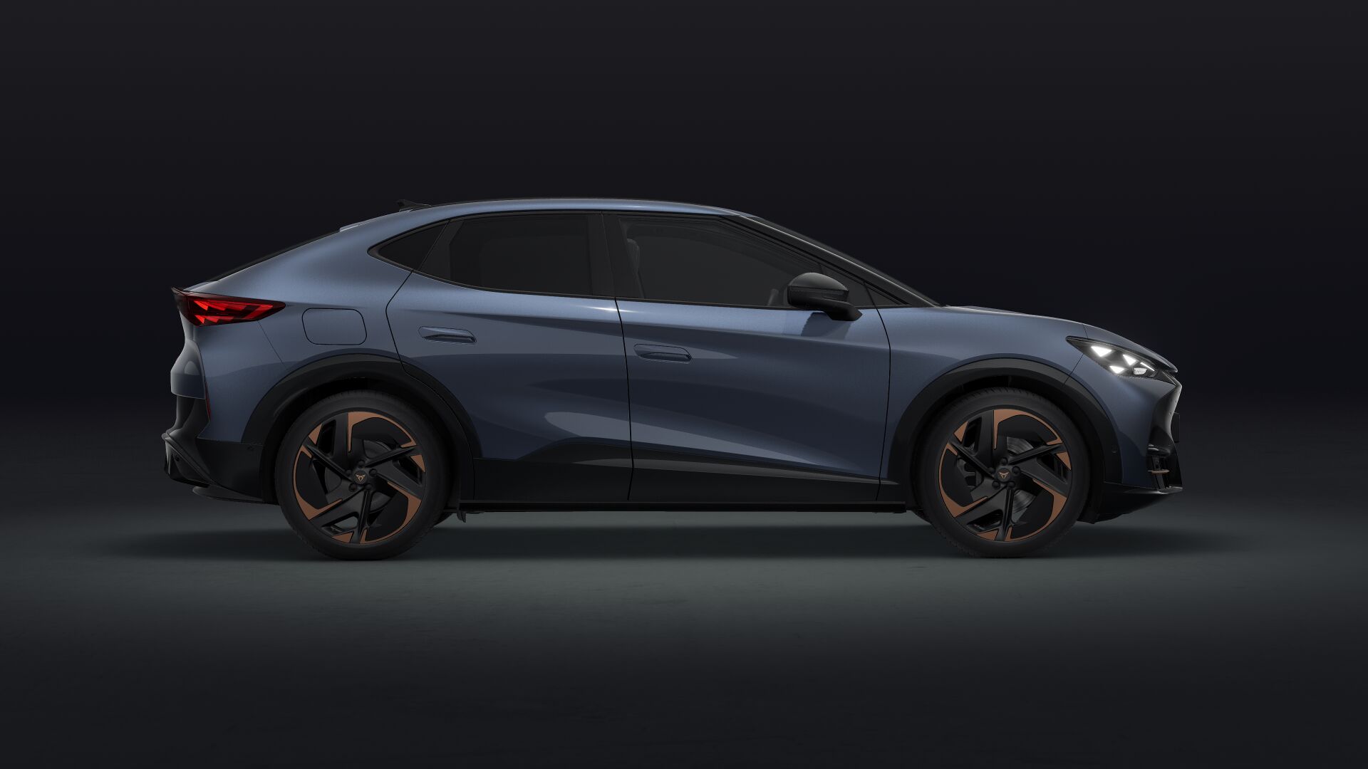 Bild eines Tavascan Extreme 210kW/286PS