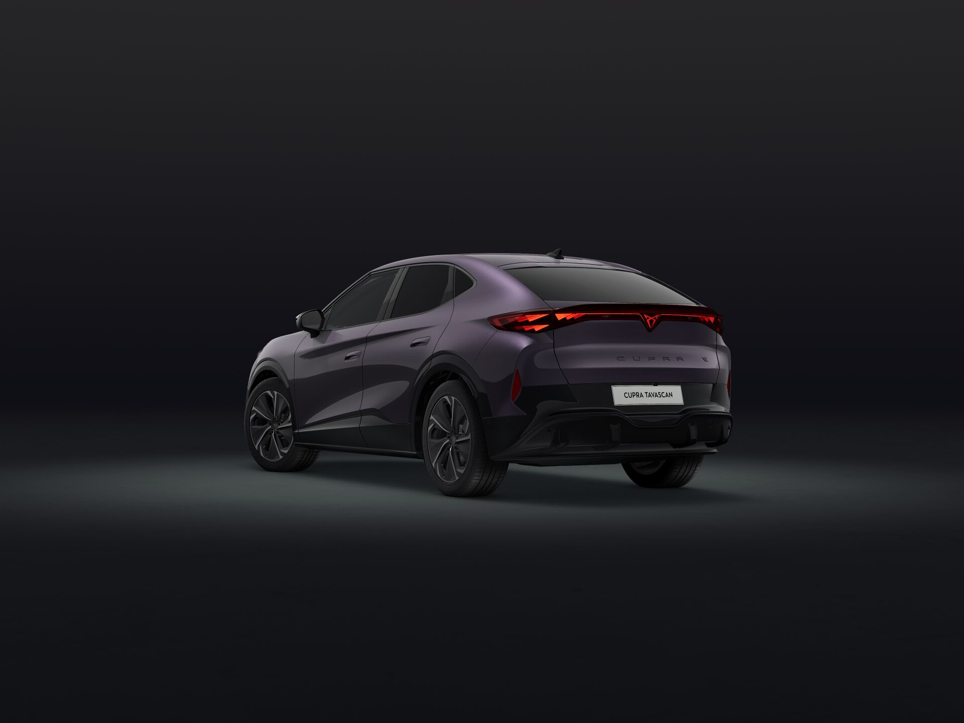 Bild eines Tavascan VZ 4Drive 250kW/340PS