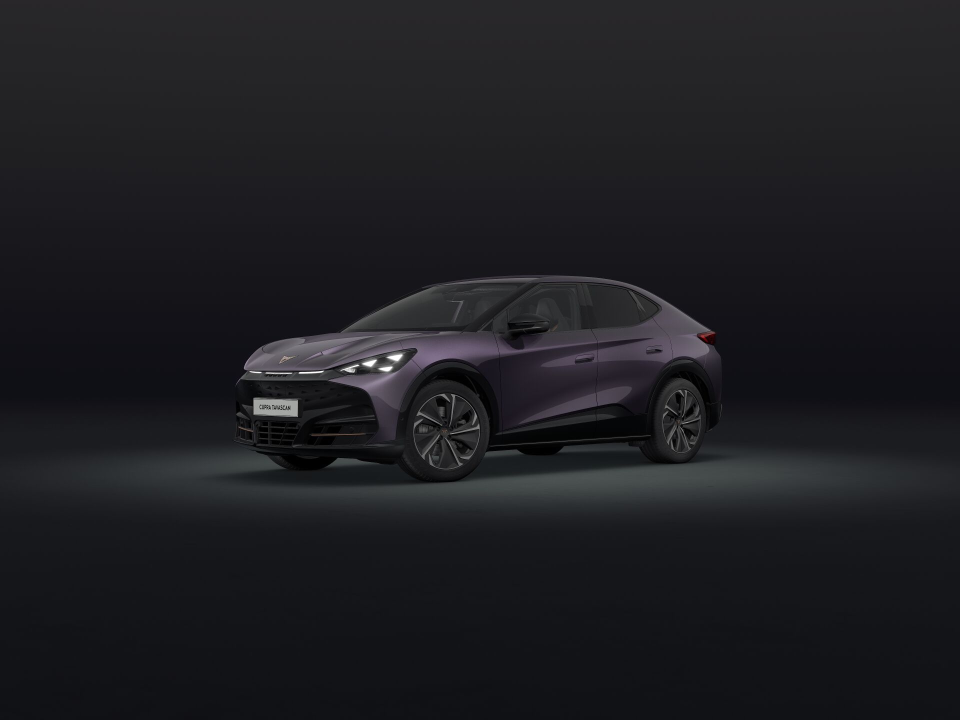 Bild eines Tavascan VZ 4Drive 250kW/340PS