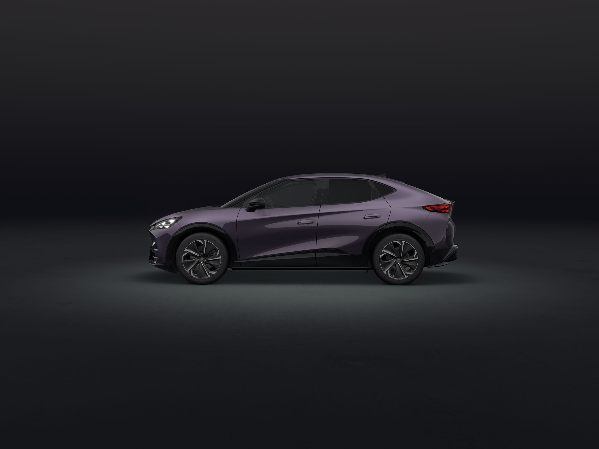 Bild eines Tavascan VZ 4Drive 250kW/340PS