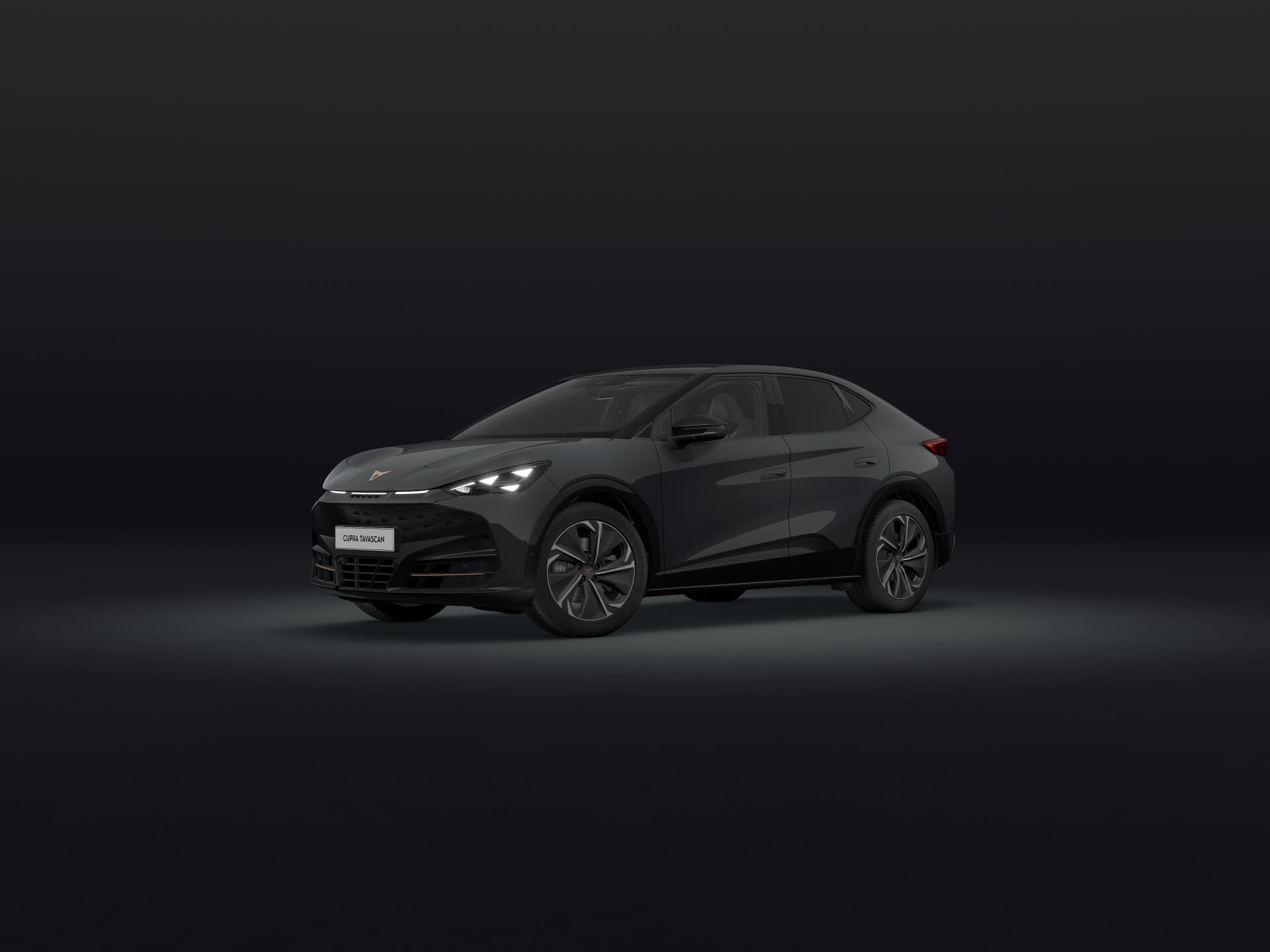 Bild eines Tavascan VZ 4Drive 250kW/340PS