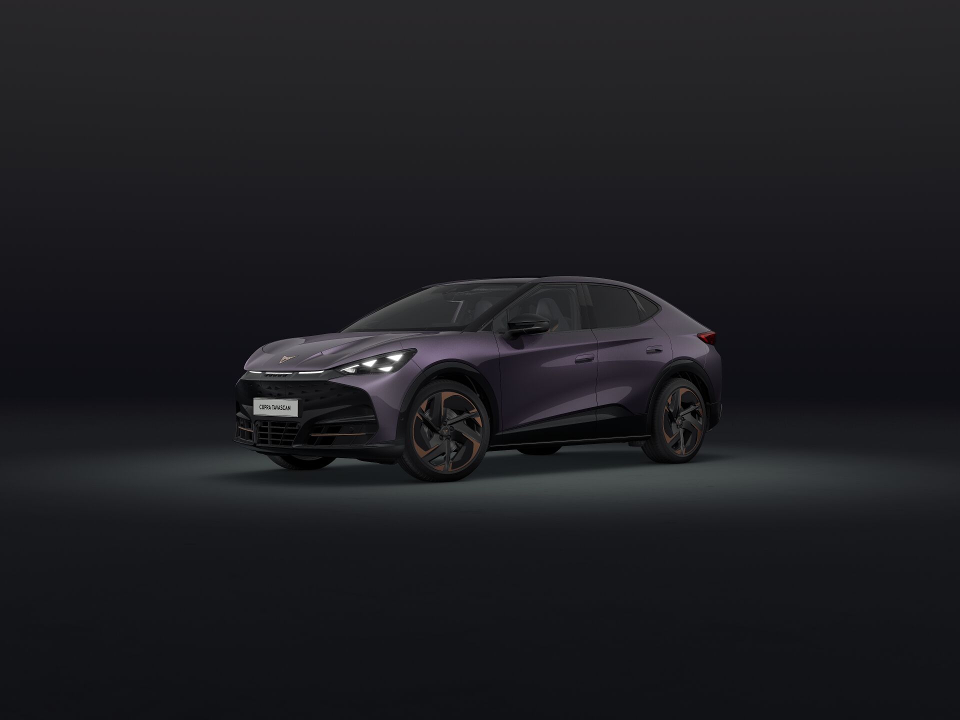Bild eines Tavascan VZ Adrenaline 4Drive250kW/340PS