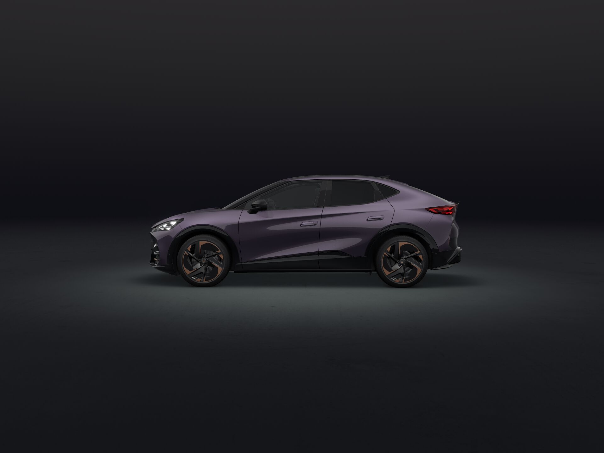 Bild eines Tavascan VZ Adrenaline 4Drive250kW/340PS