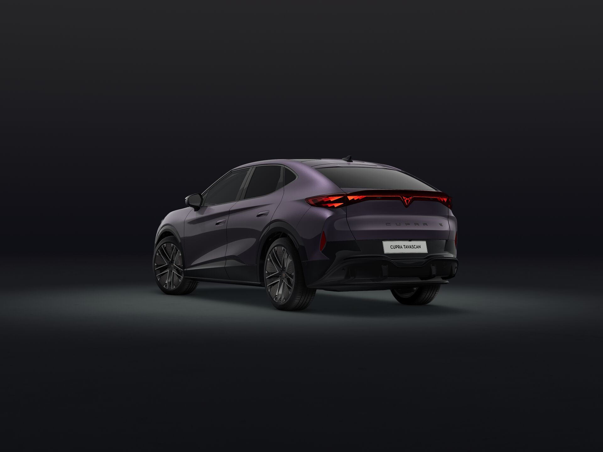 Bild eines Tavascan VZ Extreme 4Drive 250kW/340PS