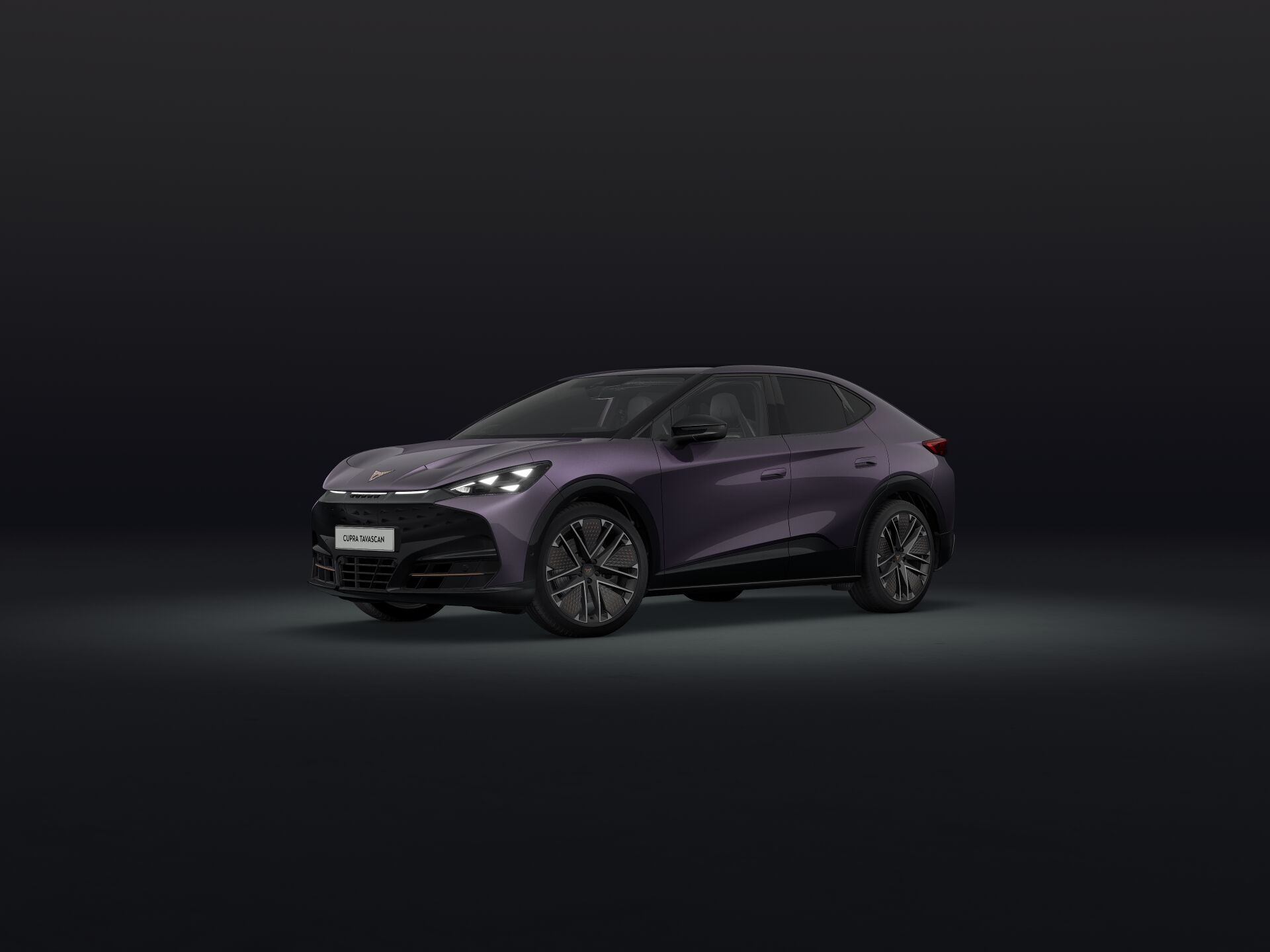 Bild eines Tavascan VZ Extreme 4Drive 250kW/340PS