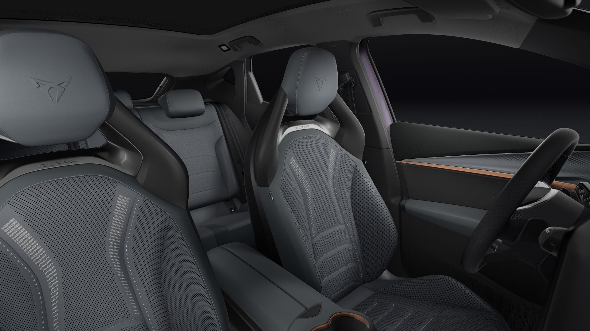 Bild eines Tavascan VZ Extreme 4Drive 250kW/340PS