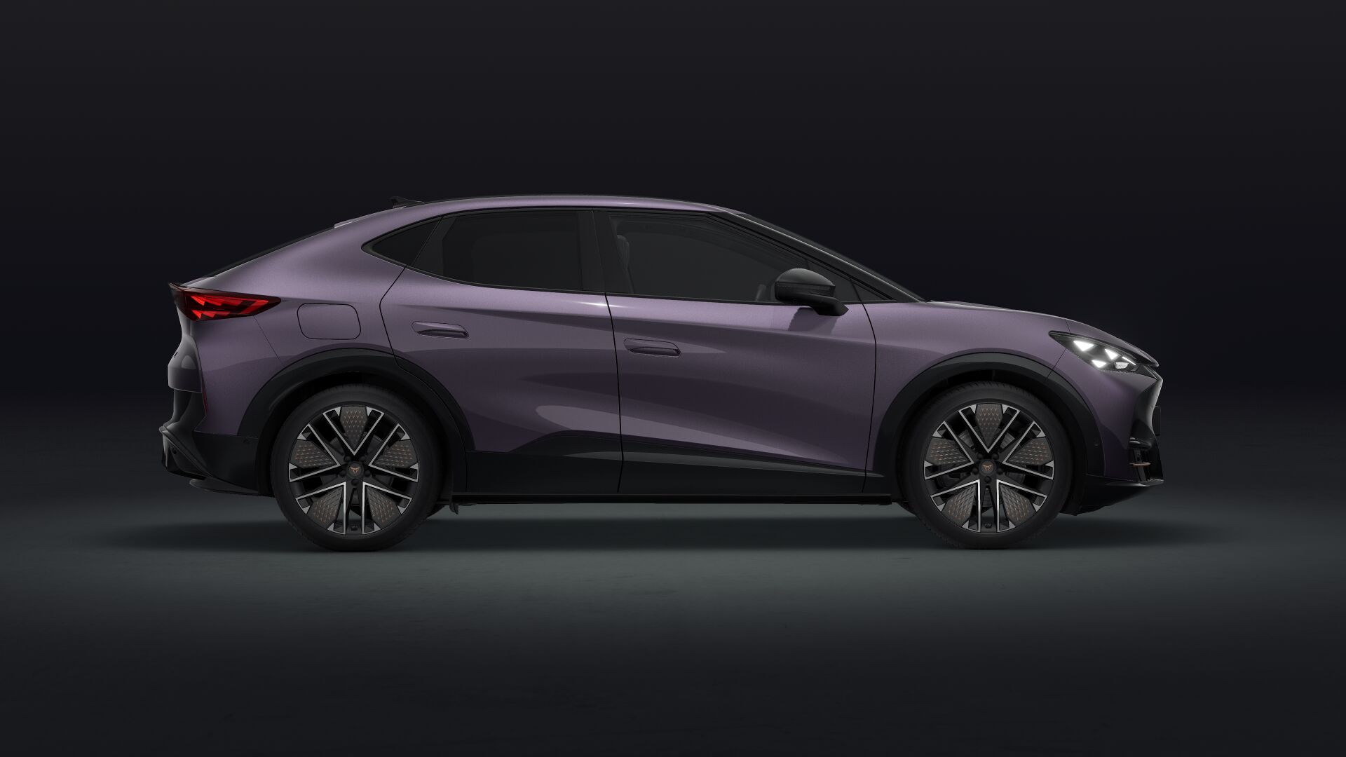 Bild eines Tavascan VZ Extreme 4Drive 250kW/340PS