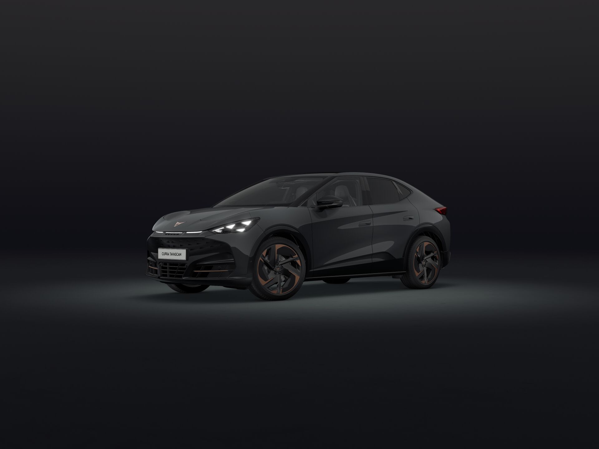 Bild eines Tavascan VZ Extreme 4Drive 250kW/340PS