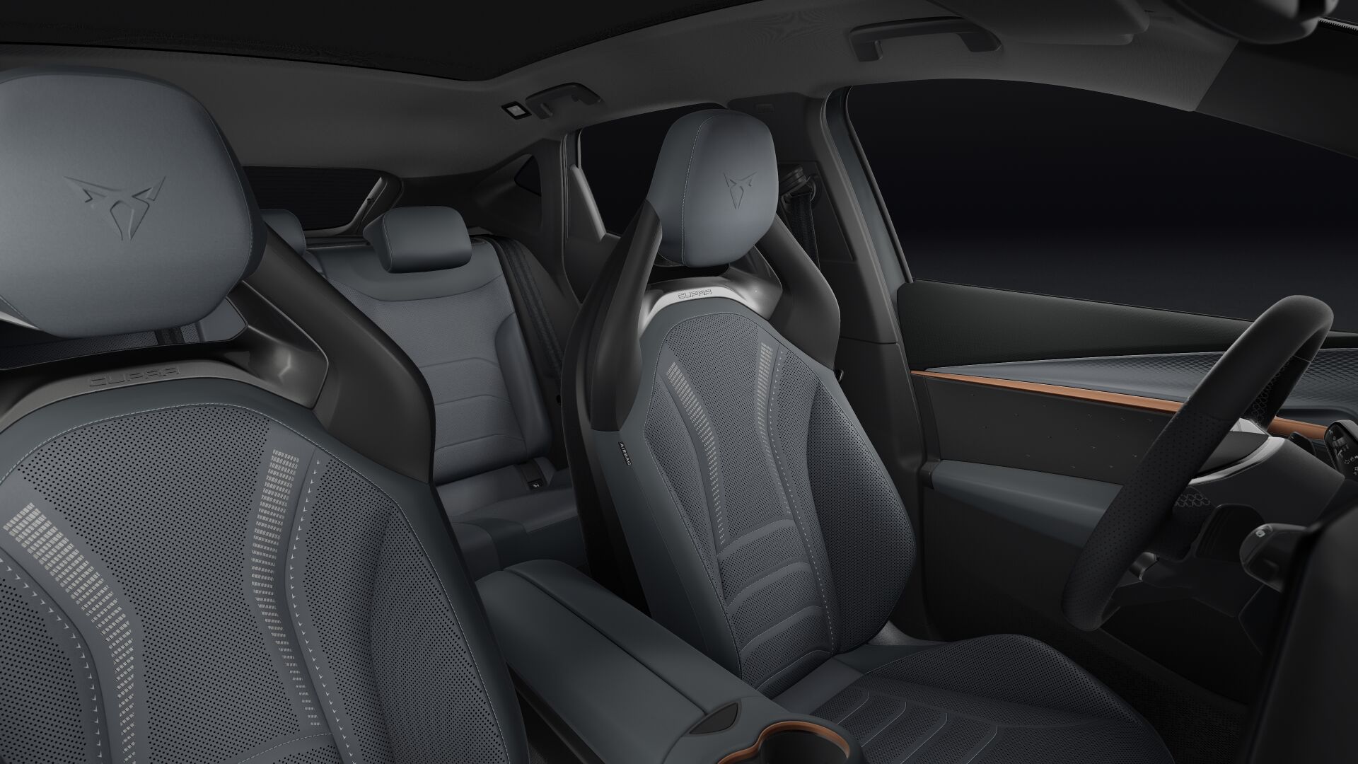 Bild eines Tavascan VZ Extreme 4Drive 250kW/340PS