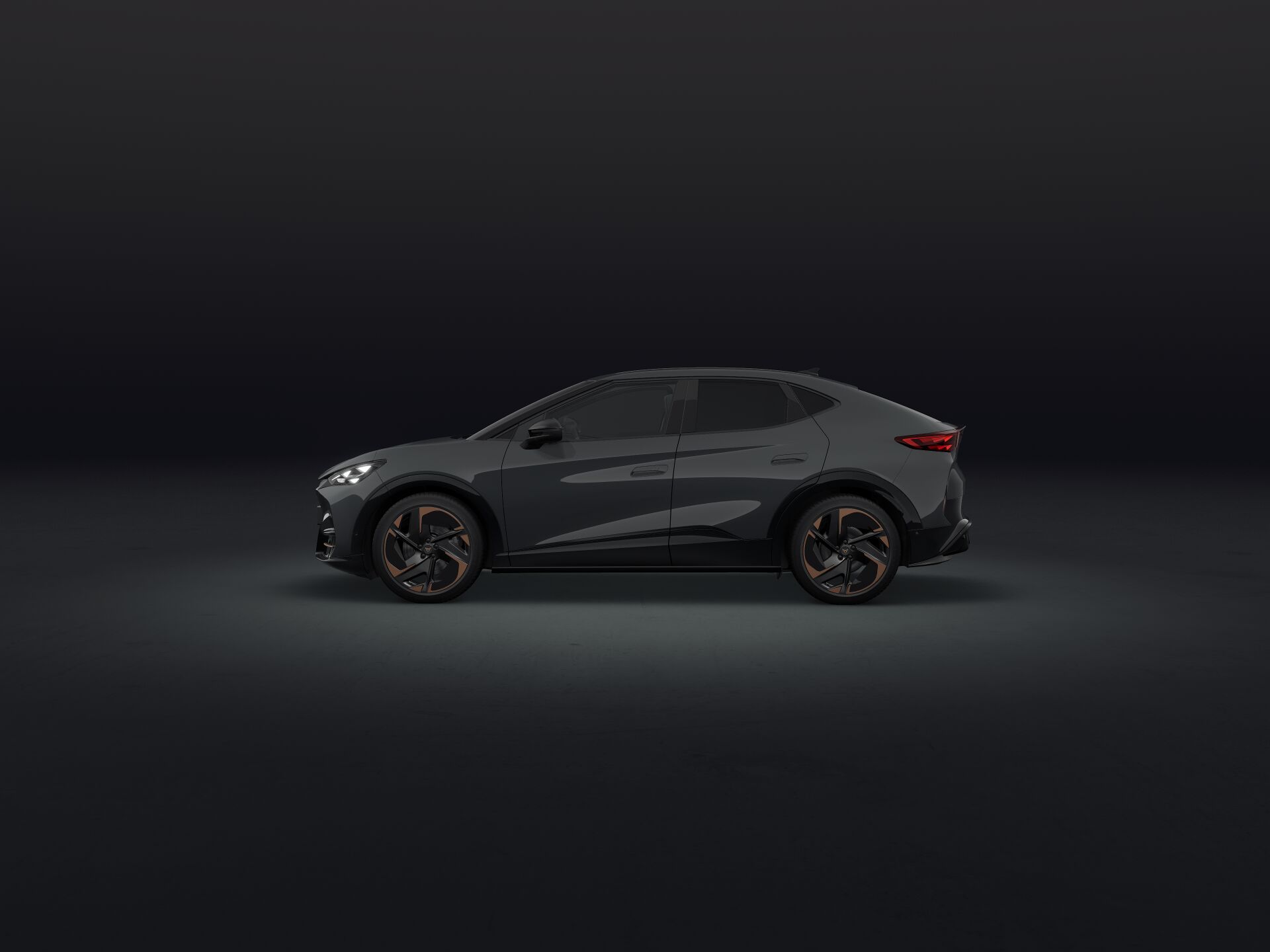 Bild eines Tavascan VZ Extreme 4Drive 250kW/340PS