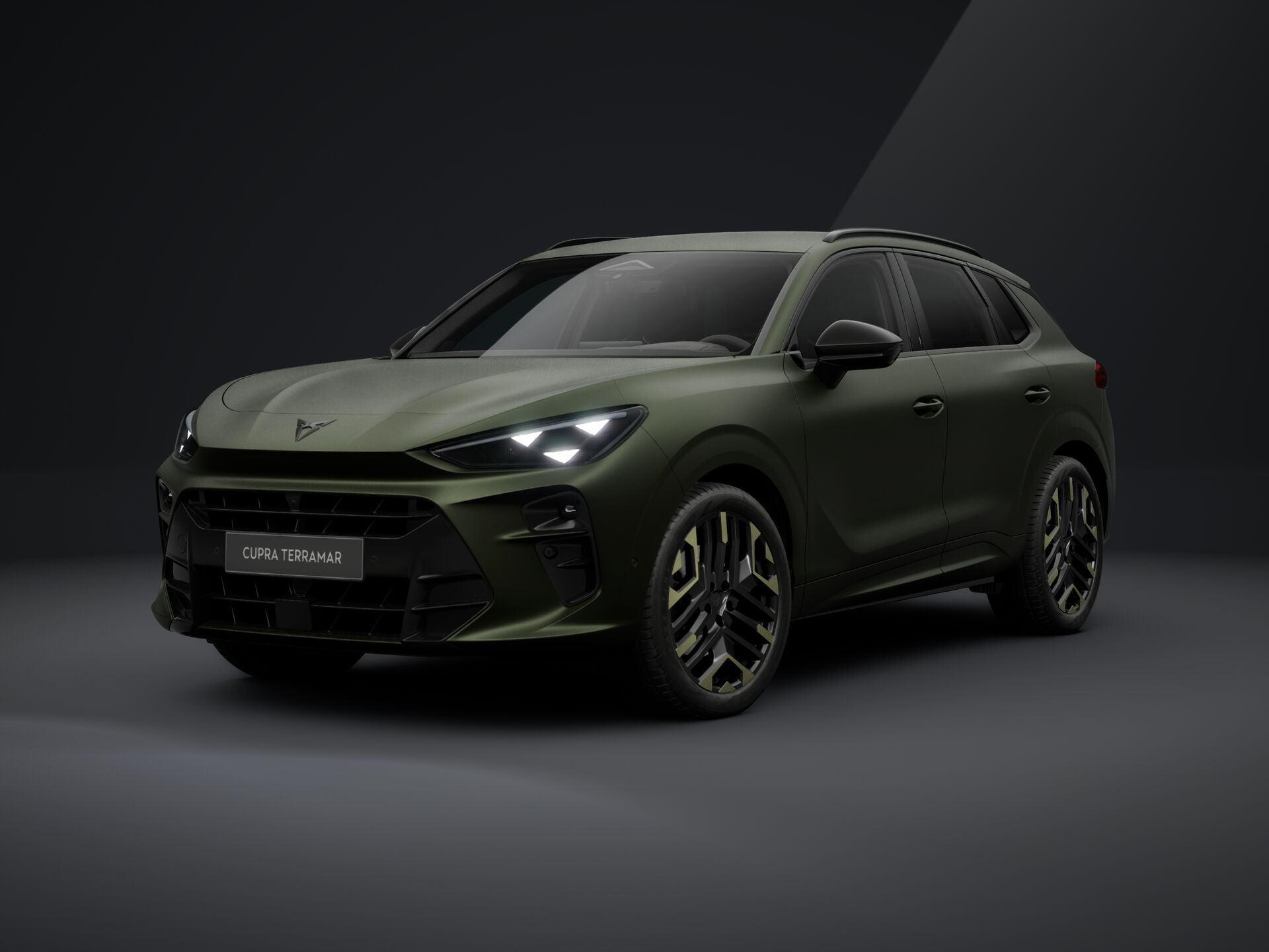 Cupra Terramar TRIBE 2.0 TSI 204 PS DSG 4Drive 2026