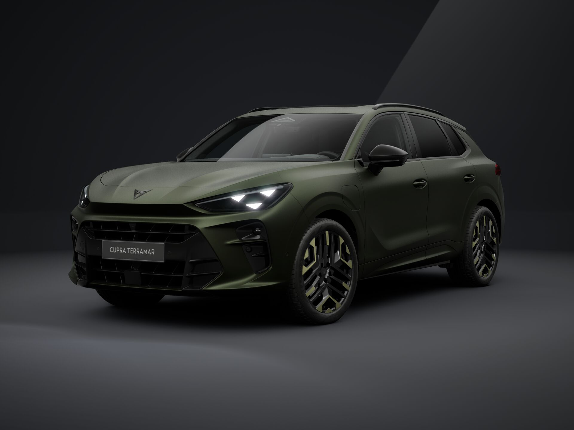 Bild eines Terramar TRIBE e-HYBRID 204 PS DSG