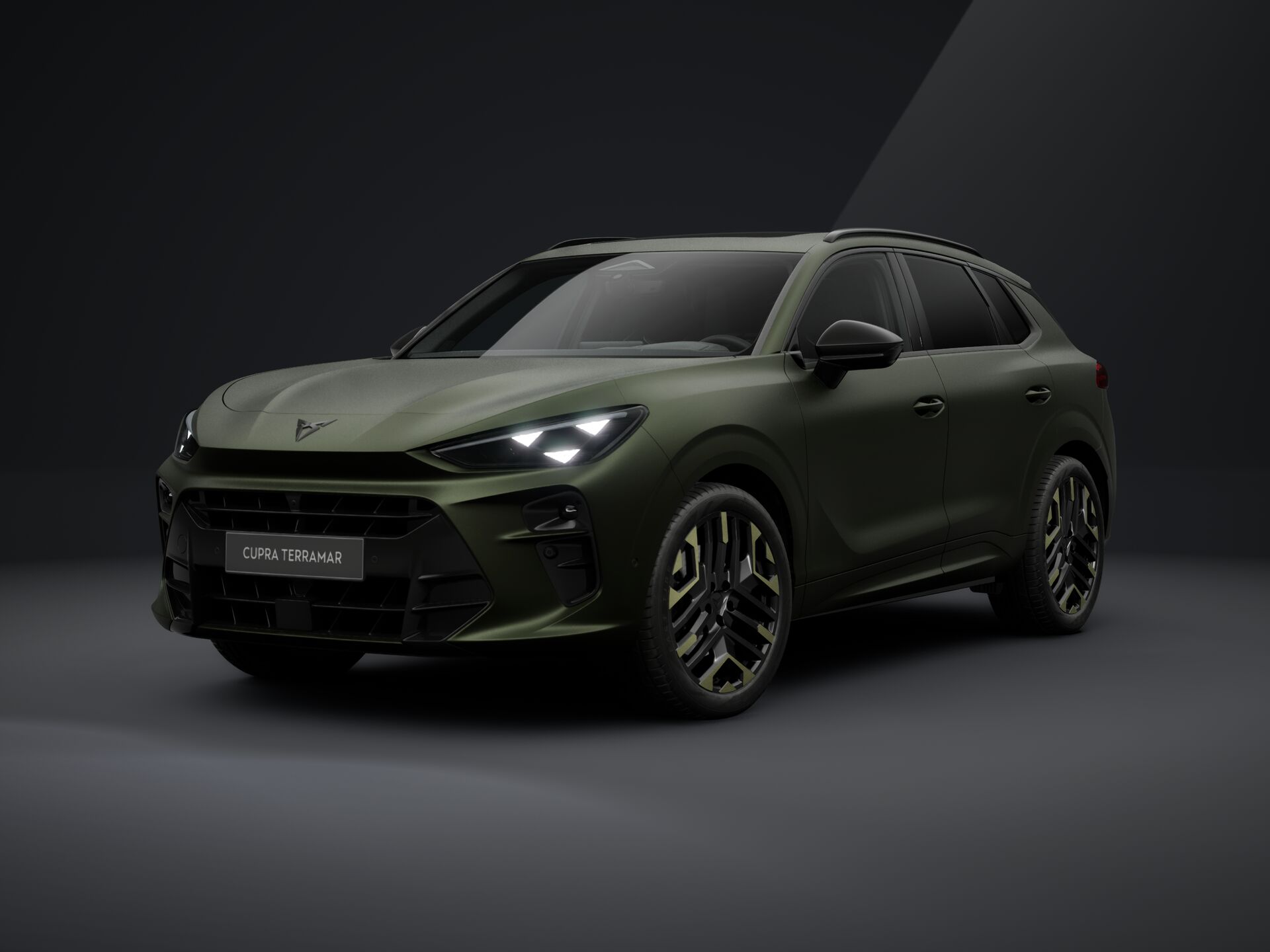 Bild eines Terramar TRIBE 2.0 TSI 204 PS DSG 4Drive