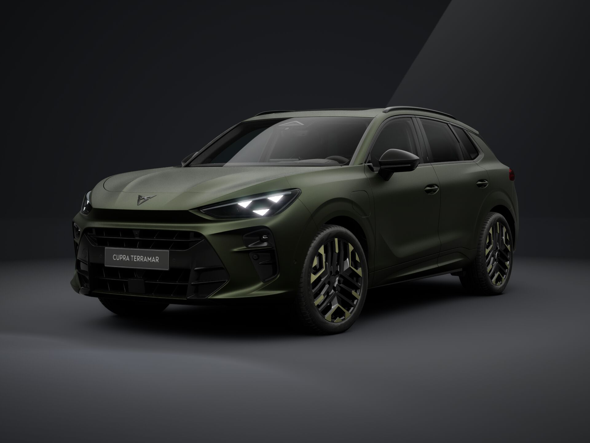 Cupra Terramar TRIBE e-HYBRID 204 PS DSG 2026
