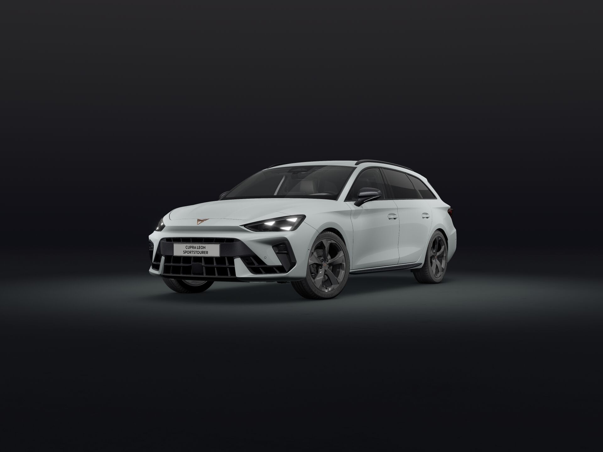 Bild eines Leon SP Kombi 2.0 TSI DSG 4Drive