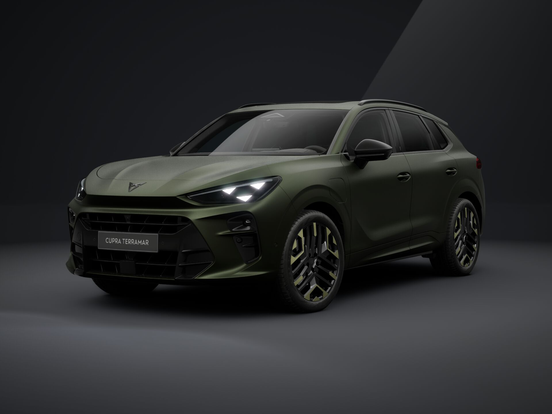 Cupra Terramar TRIBE e-HYBRID 204 PS DSG 2026