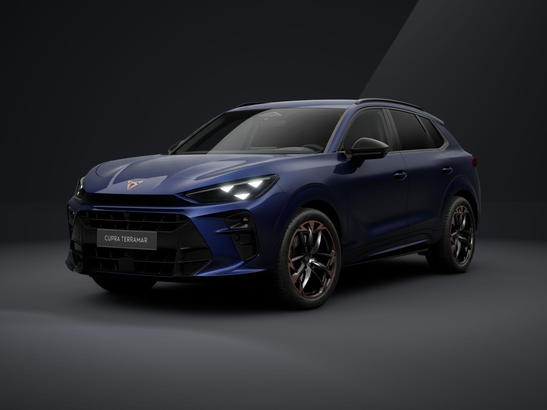 Bild eines Terramar 2.0 TSI 204 PS DSG 4Drive