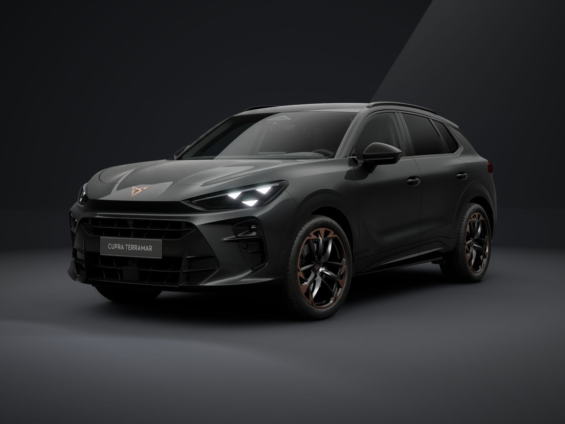 Bild eines Terramar 2.0 TSI 204 PS DSG 4Drive