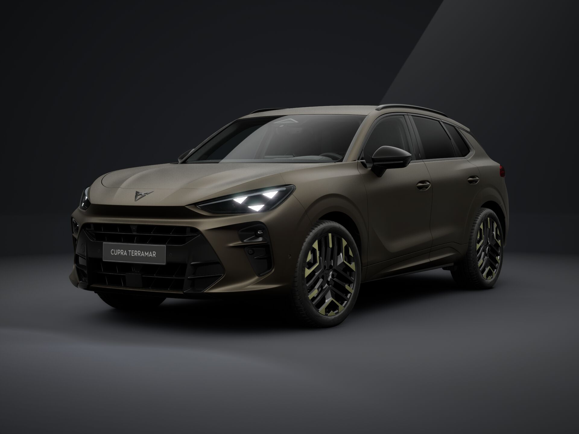 Bild eines Terramar TRIBE 1.5 e-TSI 150 PS DSG