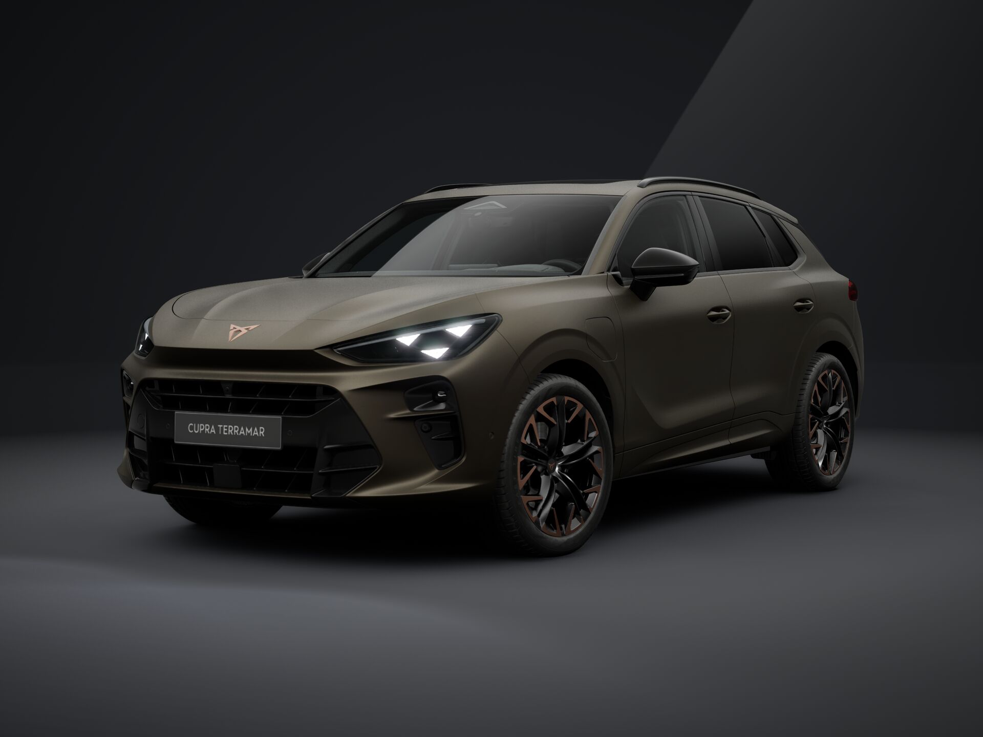 Bild eines Terramar VZ e-HYBRID 272 PS DSG