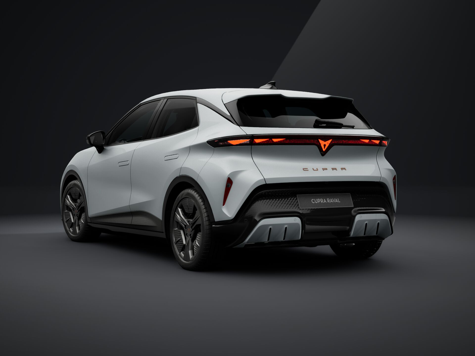 Bild eines Raval ENDURANCE 52/55 155kW/210 PS