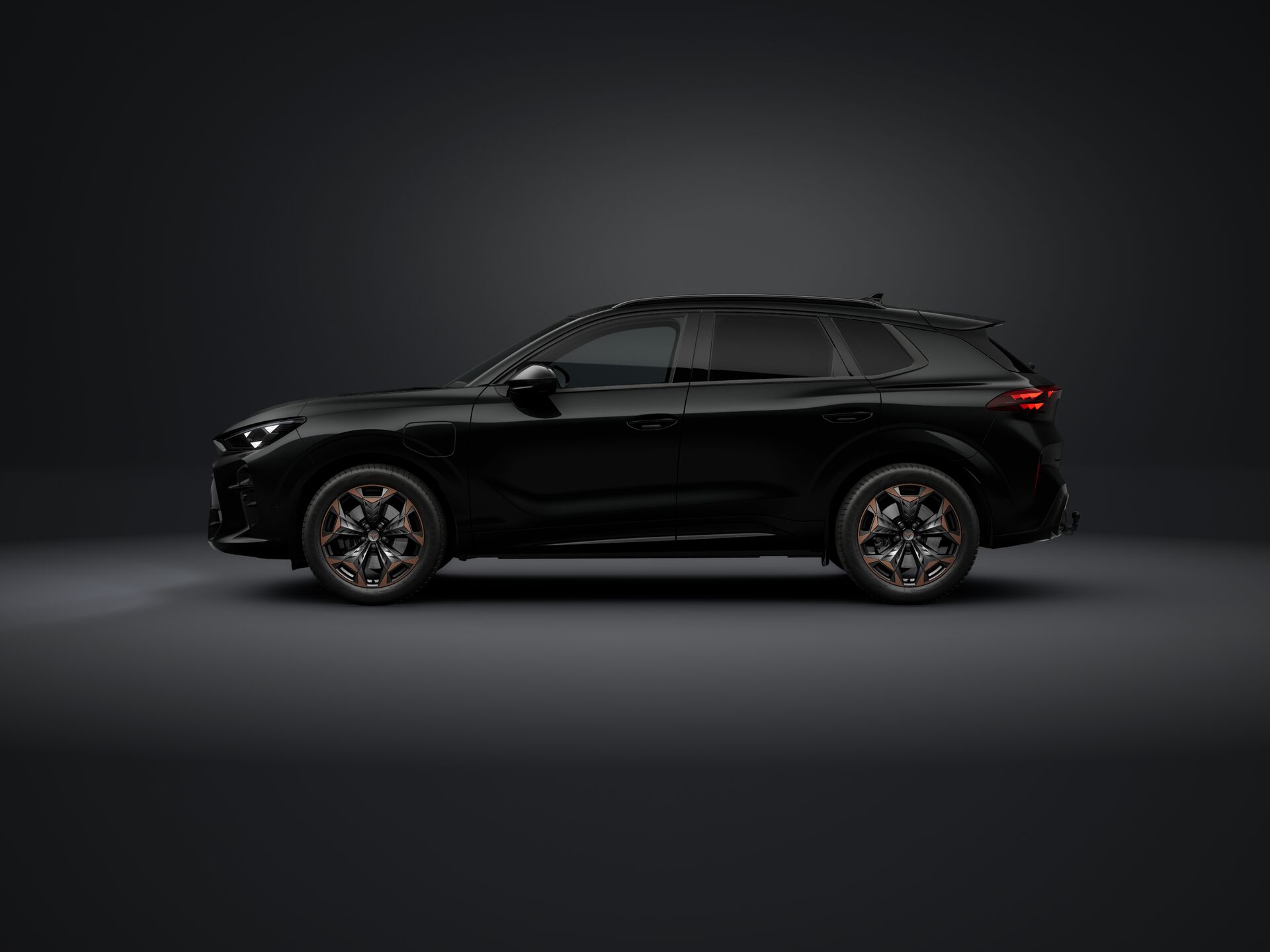 Bild eines Terramar e-HYBRID 204 PS DSG