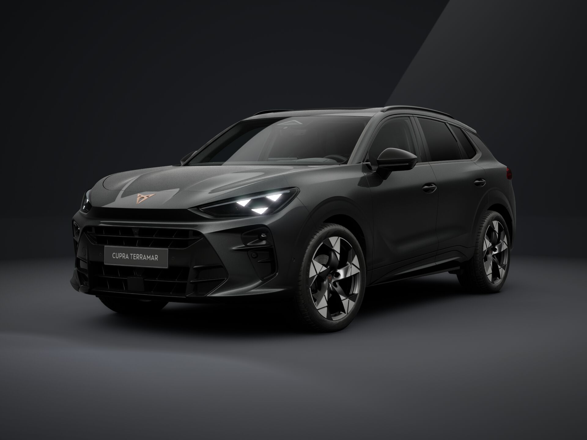 Bild eines Terramar 1.5 e-TSI 150 PS DSG